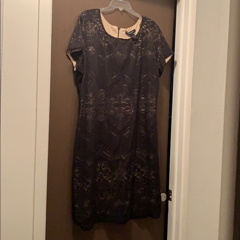 Ashley Stewart Black and Tan Dress